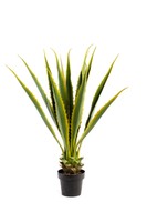 Realistic Foliage Potted Artificial X-large 110cm Agave Plant Realistic Foliage Potted Artificial X-large 110cm Agave Plant