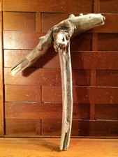 Beautiful 14" DRIFTWOOD Piece Art Terrarium Taxidermy Aquarium Beach Wood DECOR