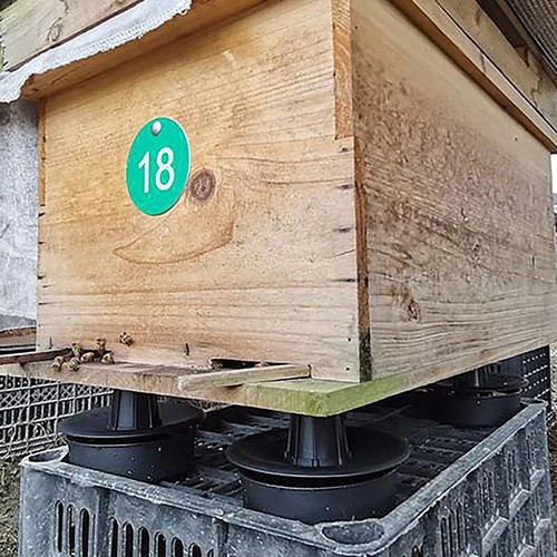 4Pcs Bee Hive Beehive Stand Frame Home Durable Beekeeping Tool Support Bracket - Picture 5 of 21
