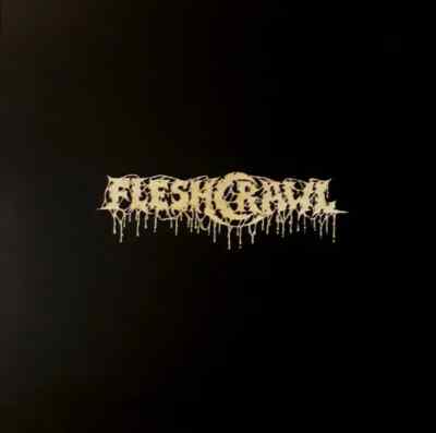 Fleshcrawl Into The Catacombs Of Flesh Apostasy Records Vinyl LP