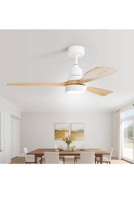 Sofucor 48 Inch Smart Ceiling Fan with Lights and Remote/APP Control, USED