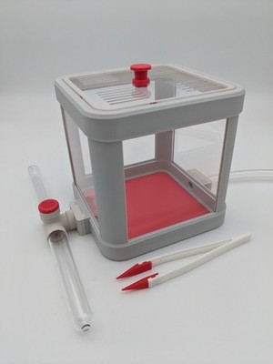 Ant nest starter kit with arena