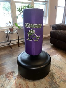 Century Lil' Dragon Wavemaster Kid's Kicking Bag for Kids