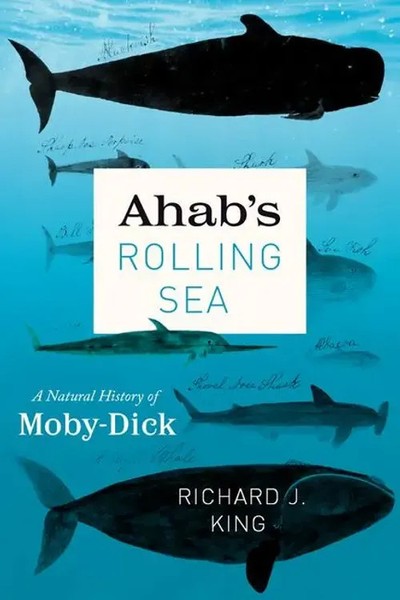 Richard J King | Ahab's Rolling Sea | Taschenbuch | Englisch (2021)-image