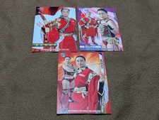 Meiko Satomura BBM Women's Pro Wrestling Card Set of 4 2019 2020 2021 2025