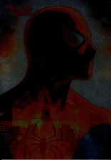 2009 Spider-Man Archives FOIL PARALLEL SINGLES...U Pick From List...PWE SHIPPING