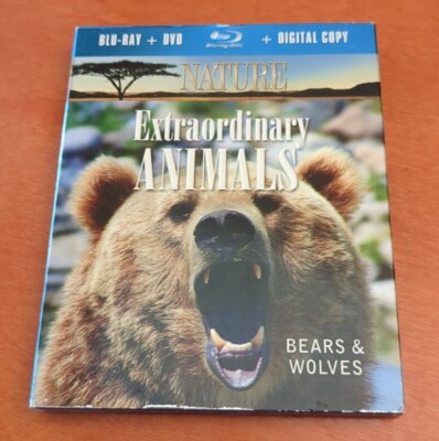 その他 Nature: Extraordinary Animals: Bears & Wolves [Blu-ray] Nature Extraordinary Animals Bears And Wolves Blu-ray F