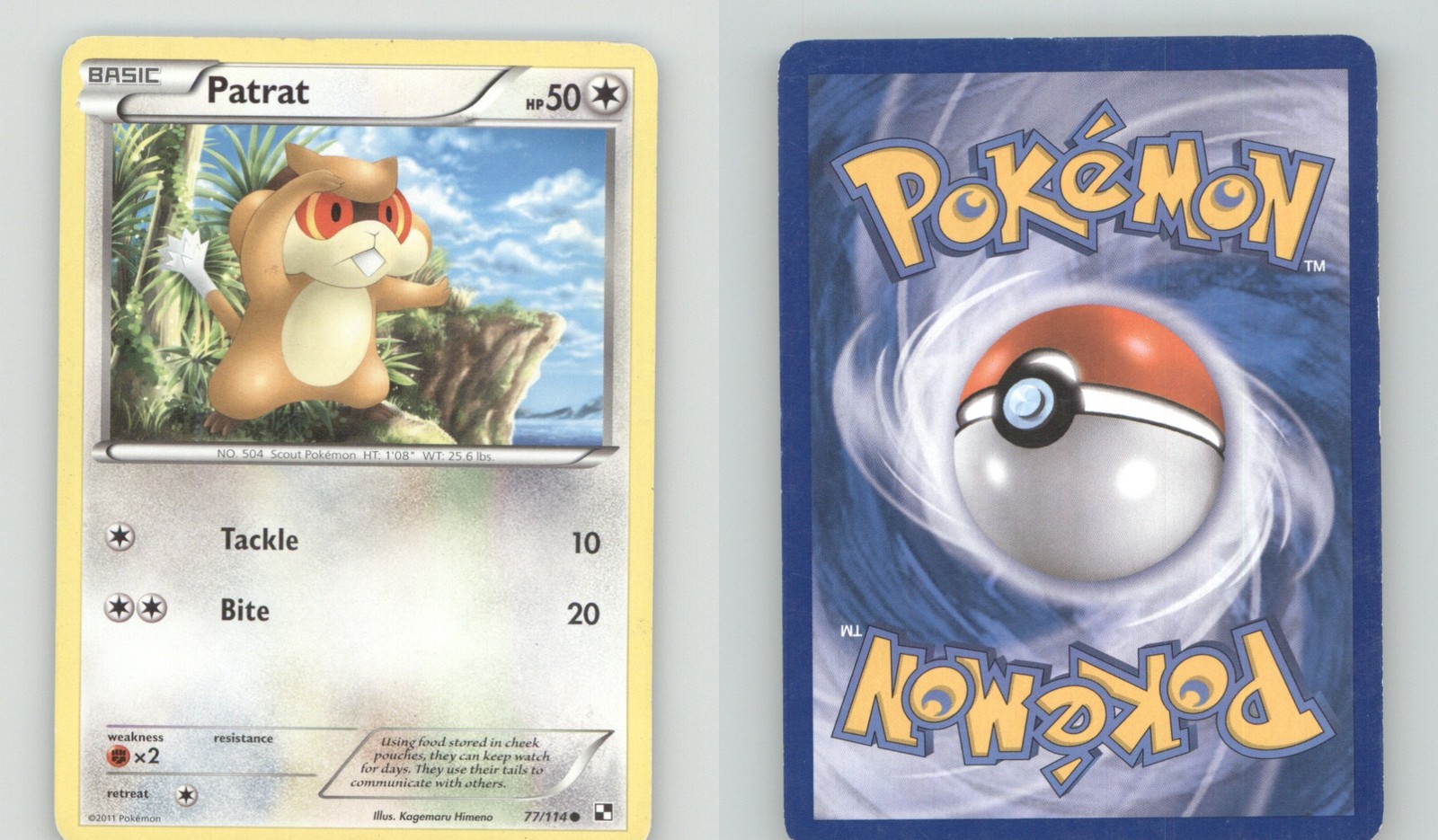 PATRAT 77/114 COMMON BLACK & WHITE POKEMON LIGHTLY PLAYED