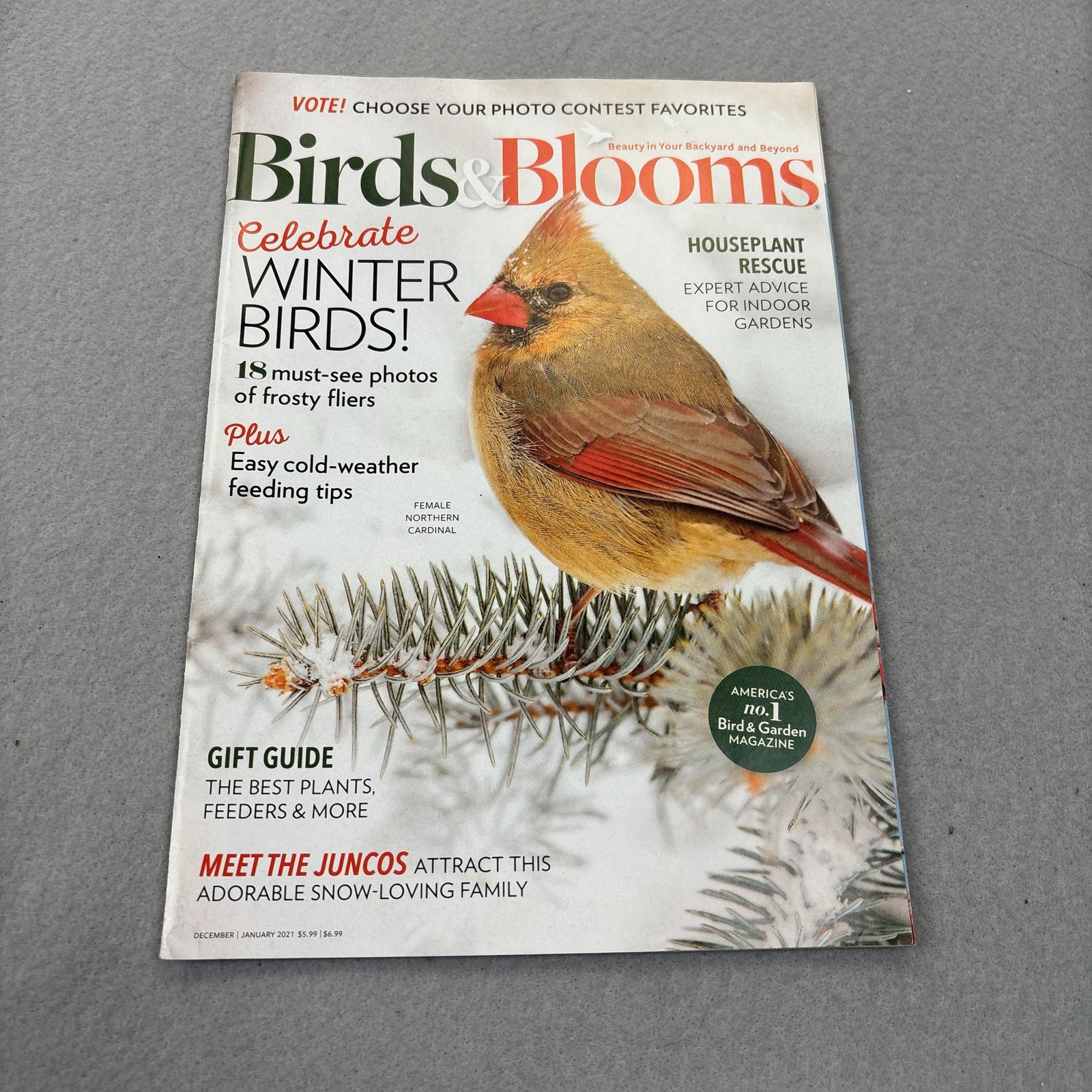 Birds & Blooms Magazine December/January 2021 Illustrated Green Cover USA