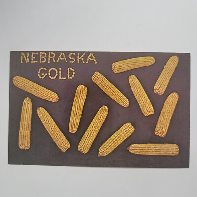 Nebraska Gold Corn Ears Chrome Postcard NE The Cornhusker State Greetings