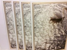 AVANTI SYMPATHY GREETING CARDS New w/envelopes LOT 4 "Holding you in our hearts"