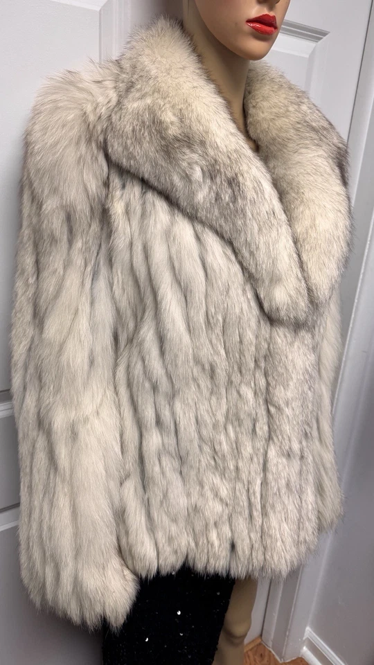 Chaqueta Abrigo Corto Saga Fox Preciosa Piel de Zorro Azul Talla M Cuello Cola Fuerte Lujo Foto 4 de 4