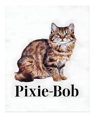 Charmantes Katzen-Wandbild Pixie-Bob-Design Aquarell Natur Tier K.