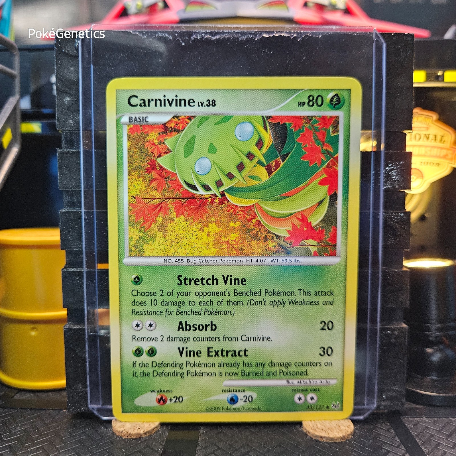 Carnivine Platinum Pokémon TCG 43/127 Uncommon