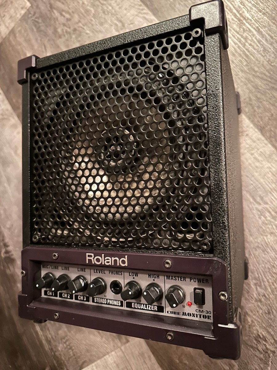 Roland CUBE MONITOR CM-30