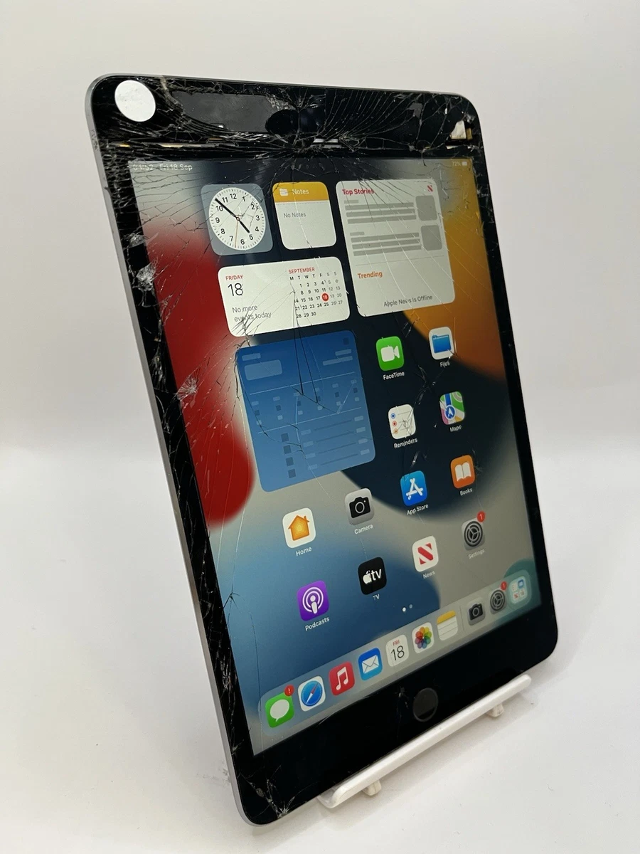 Apple iPad mini 4 Wi-Fi + 4G 16 GB Storage Capacity Tablets for