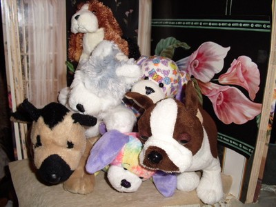 webkinz boston terrier