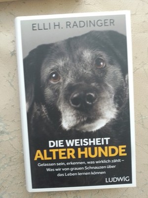 Elli H. Radinger: Die Weisheit alter Hunde (Gebundene Ausgabe, 9783453281080)