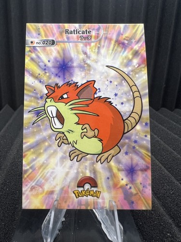 Raticate #20 - Star Holo - Shiny Database Set 2024 - Pokemon Card NM | eBay