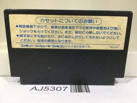 Hiryu no Ken II 2 Nintendo Famicom NES Japan - AJ5307