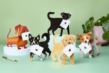 3D Dog Cards Pack of 5 | Animal Greeting Cards by Mark Jamieson | Blank Inside