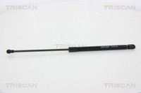 Heckklappen DäMpfer Gasfeder Kofferraum Triscan 8710 66207 FüR Seat Ibiza 4 ST