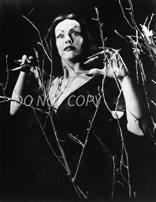 Dark Glamour Horror Photo 1950s Vampira Horror Hostess Actress 8x10 Reprint Port