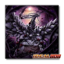 PRE-SALE YUGIOH x1 DOOD-EN055 BLACK ROSE GARDEN - ULTRA RARE 1st EDITION