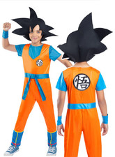 Dragonball Z Goku Costume Kids Official Japanese Cartoon Fancy Dress Outfit
