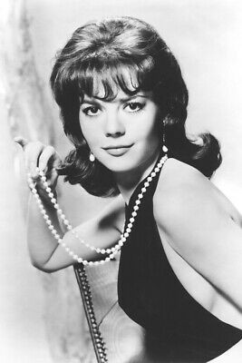 Natalie Wood Glamorous Studio 24x36 B&W Poster Print