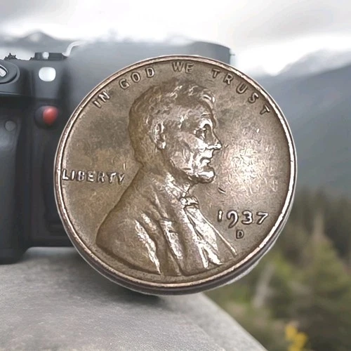 1937 D Lincoln Wheat Cent/ Penny ☆ FREE SHIPPING