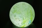 Foto 5 di 8