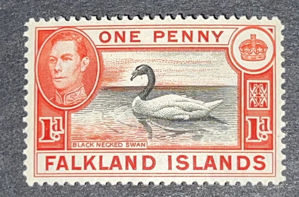 Sellos de viaje: estampillas de las Islas Malvinas Sg 147 un centavo cisne cuello negro M OG LH Foto 2 de 4