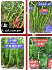 4varieties pepper pack(30+seeds Each, Total 120+seeds) 4种辣椒种子合集(各品种30+ 粒,共120+粒）