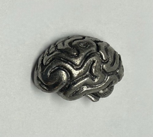CNS Brain Anatomy Central Nervous System Neurologist Neurology 3D Lapel Pin P92