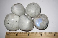 5 TUMBLED POLISHED 1"- 1.3" RAINBOW MOONSTONE CRYSTAL STONES INDIA 168.5grams 4