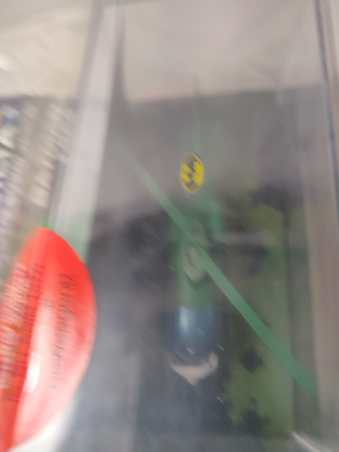 Picture 6 of 10