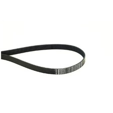 Continental Ctam Keilrippenriemen 1172001Q0A 117205123R 25014077