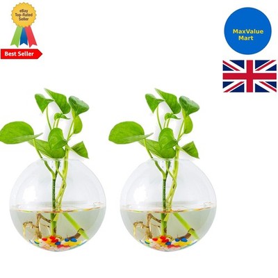 Stilvolle kugelförmige Glas Terrarien - 2 Stück hängende Pflanzgefäße für drinnen & draußen