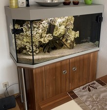Aquarium Massanfertigung Top Zustand Viel Zub...