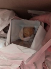 beanie Babies Various Years In Medium Size Box All In Acrylic Cases Tagged
