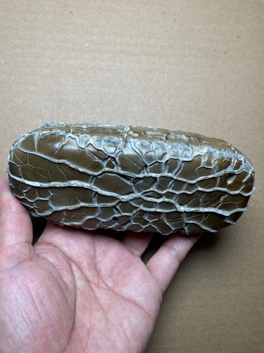 886g bellissima pietra naturale modello posteriore tartaruga pietra Moire pietra paesaggio - Foto 4 di 23