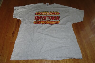 T-shirt Homme Gris 'I Can Only Please One Person Today...' Taille XL, Marque Alstyle, Occasion Très Bon état