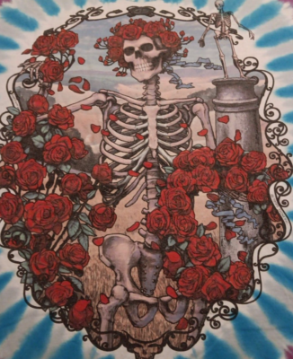 1995 Vtg XL Liquid Blue The Grateful Dead Tie Dye Dual Side