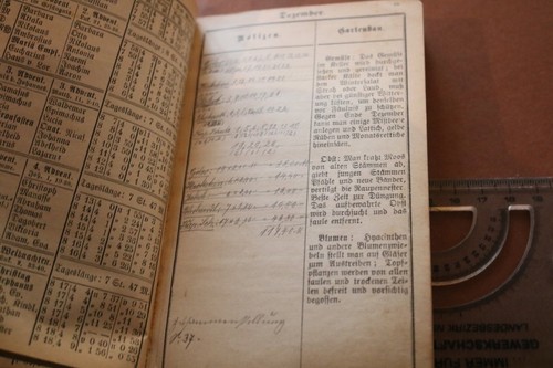 gran calendario de inserción antiguo - Calendario de profesores de Alsacia-Lorena 1904 - Imagen 6 de 12