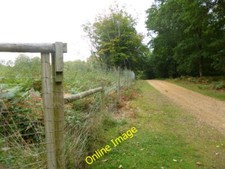 Photo 6x4 Burley Outer Rails Inclosure, deer-proof fencing Burley Lawn  c2013