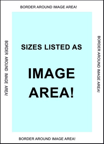 LINCOLN DOUGLAS DEBATE CHICAGO 1858 US PRESIDENTIAL DEBATES VINTAGE POSTER REPRO - Bild 2 von 3