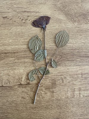Getrocknete Rose mit Dornen echte Blume Gothic Romantisch Wohndeko Vintage Stil 10 Zoll