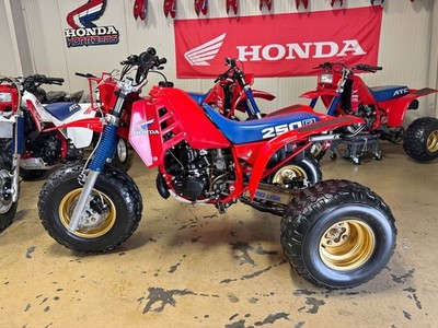 1985 Honda ATC250R