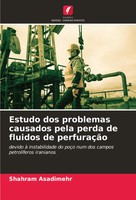 Shahram Asadimehr | Estudo Dos Problemas Causados Pela Perda De Fluidos De...